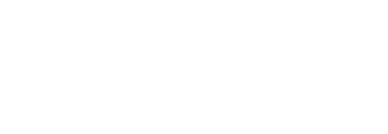 champion logo blanc